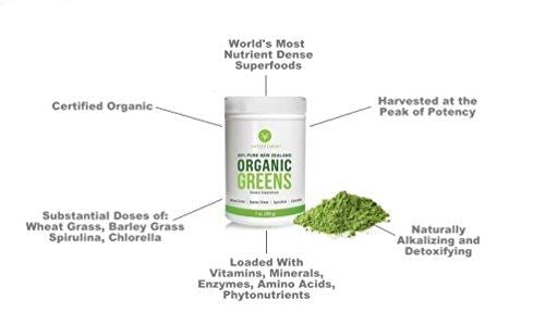 Antler Farms - 100% Pure New Zealand Organic Greens Superfood Powder, 50 Servings, 200g - Wheat Grass, Barley Grass, Chlorella, Spirulina - Vegan, Gluten Free, NO Pesticides, NO Chemicals, NO GMOs