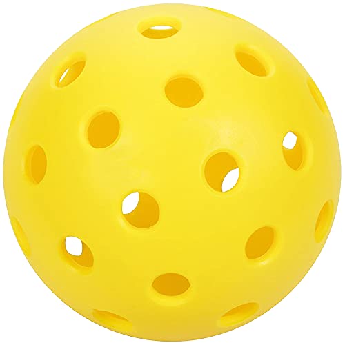 Champion Eclipse Graphite Pickleball Paddle Set | Includes 4 Paddles + 4 Outdoor Pickleballs + 4 Paddle Covers + Pickleball Duffel Bag