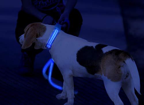 LED Dog Collar - USB Rechargeable - Available in 6 Colors & 6 Sizes - Makes Your Dog Visible, Safe & Seen