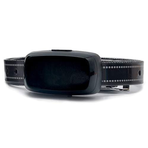 Basics Rechargeable Electric Dog Fence Plus - Upgraded 16 Gauge Boundary Wire - 2 Dog Kit with 1500' of Boundary Wire (Up to 2 Acres)