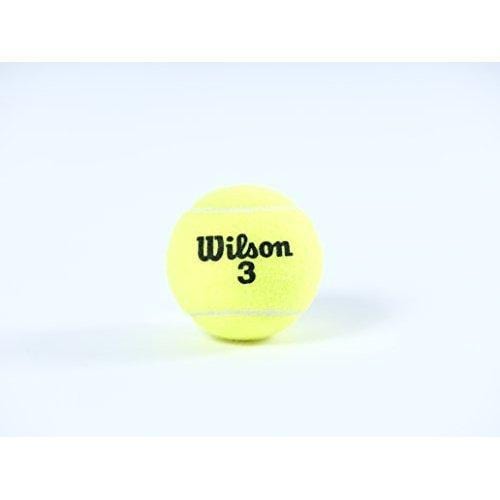 Wilson Prime All Court Tennis Ball 24 Can Case (72 Balls)