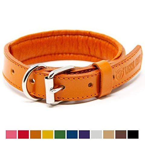 Logical Leather Padded Dog Collar - Best Full Grain Heavy Duty Genuine Leather Collar - Orange - Small
