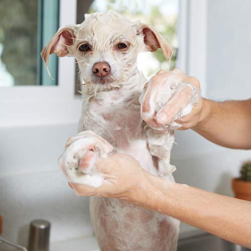 Natural Oatmeal Dog-Shampoo and Conditioner - 20oz Medicated Clinical Vet Formula Wash for All Pets Puppy & Cats - Made with Aloe Vera for Relieving Dry Itchy Skin
