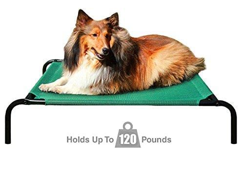 Best Pet Supplies - Steel Framed Rust Resistant Elevated Mildew Free Mesh Fabric Pet Bed for Dogs & Cats - Large 43 x 26 x 7 Inches