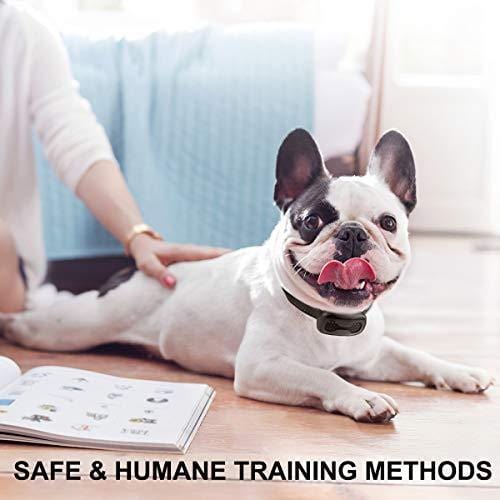 Bark Collar 7 Adjustable Sensitivity No Bark Collar Beep/Vibration Mode No Shock Anti-Barking Collar for Small Medium Large Dogs(Black&Gold)