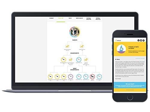 Embark | Dog DNA Test | Breed Identification | 160 Health Results | 200K Genetic Markers