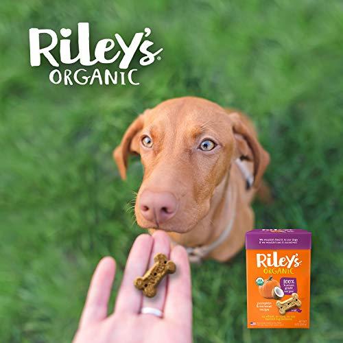 Riley's Organic Dog Treats - Large Bone Pumpkin & Coconut Dog Treats - USDA Organic, Certified Vegan and Non GMO Project Verified Dog Biscuits - 100% Human Grade - 9 Oz Carton