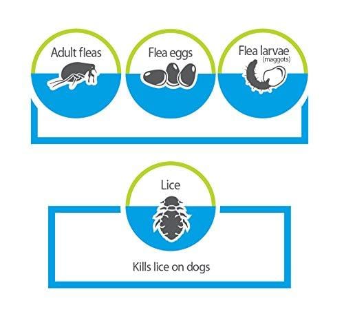 Advantage Shampoo Flea and Tick Treatment for Cats and Kittens 8 oz