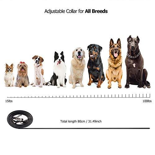 DB Degbit Shock Collar for Dogs with 3 Modes, Dog Training Collar [IP67 Waterproof][Fast Training Result] E-Collar, Dog Shock Collar with Remote, 1000ft Range, Bark Collar, for Small/Medium/Large dogs