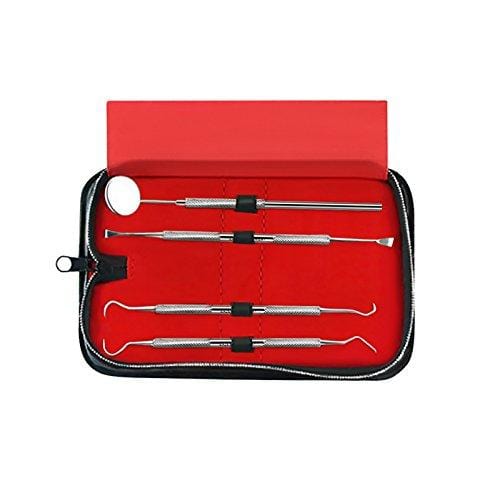 Dental Hygiene Tool Set - Stainless Steel Dental Tooth Pick, Mouth Mirror,Tarter Scraper and Plaque Remover - Dental Tool Kit Is Ideal for Personal Use & Pet Friendly-free Protective Case
