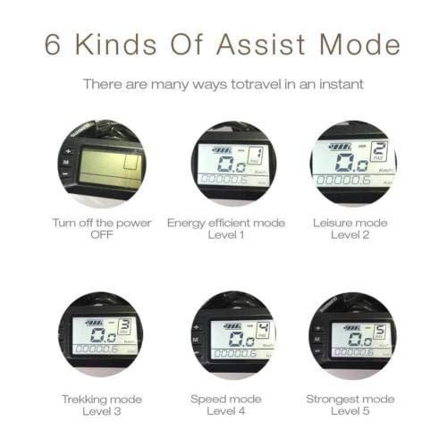 KEANTY 20" Folding Electric Mountain Bike, Fat Tire Electric Bike Beach Snow Mountain Bicycle with 36V/10AH Large Capacity Lithium Battery and Two Cycling Modes (Green)