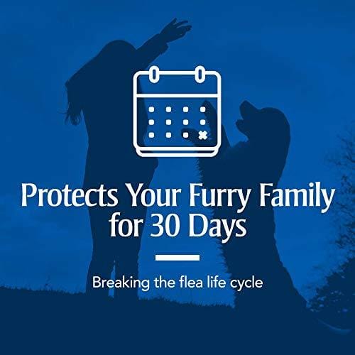 PetArmor Plus for Dogs, Flea and Tick Prevention for Small Dogs (5-22 Pounds), Includes 6 Month Supply of Topical Flea Treatments