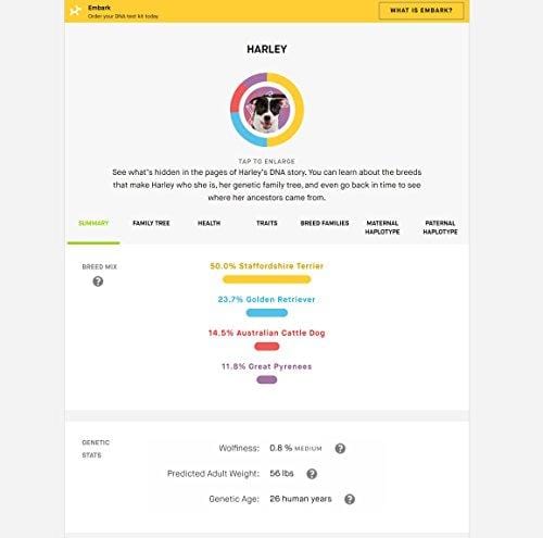 Embark | Dog DNA Test | Breed Identification | 160 Health Results | 200K Genetic Markers