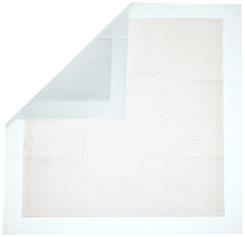 AmazonBasics Pet Training and Puppy Pads, Regular - 100 Count