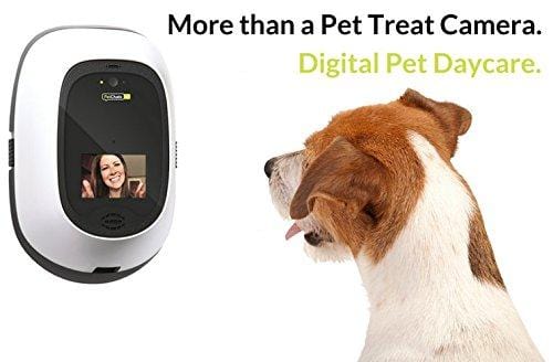PetChatz HD: two-way premium audio/HD video pet treat camera w/ DogTv, smart video recording, calming aromatherapy, and motion/sound detection (as seen on The Today Show)