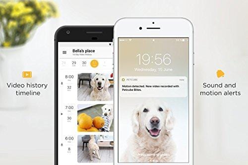 Petcube Bites Pet Camera with Treat Dispenser: HD 1080P Video Monitor, 2-Way Audio, Night Vision, Sound & Motion Alerts. designed for Dogs & Cats
