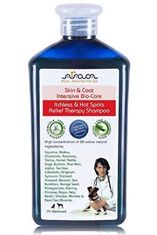 Arava Natural Medicated Dog Shampoo - Antibacterial Antifungal Anti Yeast Anti Itch Dog Shampoo - Healthy Skin & Coat - First Aid in Hot Spots Ringworm Scrapes Abrasions & Dermatologic Infections