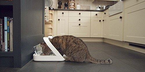 SureFlap - SureFeed - Microchip Pet Feeder - Automatic Pet Feeder Makes Meal Times Stress-Free