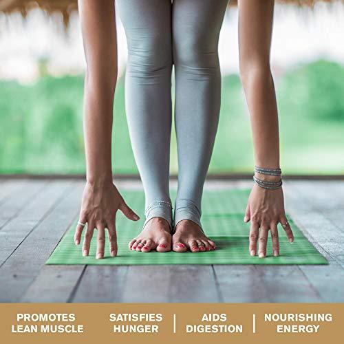 Amazing Grass Organic Plant Based Vegan Protein Superfood Powder with Vitamin Matrix, Flavor: Chocolate Peanut Butter, 10 Servings, 15.1oz, Meal Replacement Shake