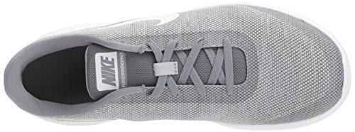 Nike Men's Flex Experience Run 7 Shoe, Wolf White-Cool Grey, 10 Regular US