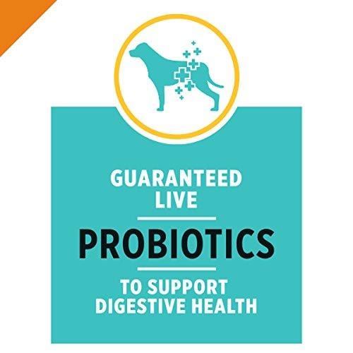 Purina Pro Plan Dry Dog Food; SAVOR Shredded Blend Beef & Rice Formula - 35 lb. Bag