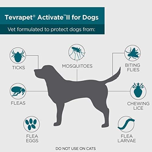 TevraPet Activate II Flea and Tick Prevention for Dogs - Topical, 11-20 Lbs