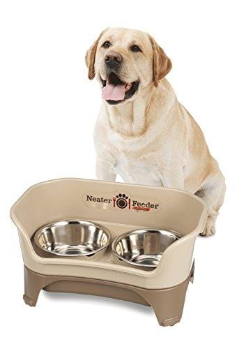 Neater Feeder Express (Medium to Large Dog, Champagne) - with Stainless Steel, Drip Proof, No Tip and Non Slip Dog Bowls and Mess Proof Pet Feeder