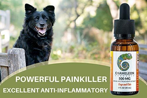 Hemp Extract Oil for Dog and Cats - 500mg - For Separation Anxiety | Pain Relief | Calming | Joint Support | Organic | Non-GMO | Made in the USA - 30mL