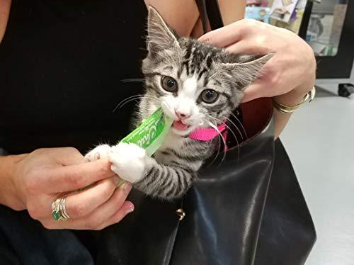 INABA Churu Lickable Creamy Puree Cat Treats 5 Flavor Variety Pack 20 Tubes