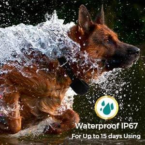 All-New 2019 Dog Training Collar with Remote | Long Range 1600', Shock, Vibration Control, Rechargeable & Ipx7 Waterproof | E-Collar Shock Collar for Dogs Small, Medium, Large Size, All Breeds