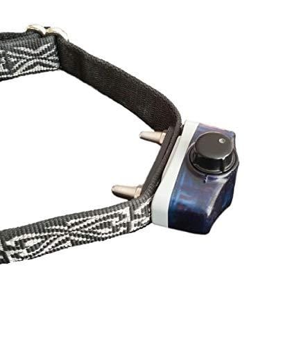 Invisible Fence Brand Collar Compatible, Rechargeable Battery, Two Batteries with Charger