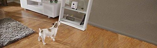 Petzi Treat Cam: Wi-Fi Pet Camera & Treat Dispenser, Enabled with Amazon Dash Replenishment