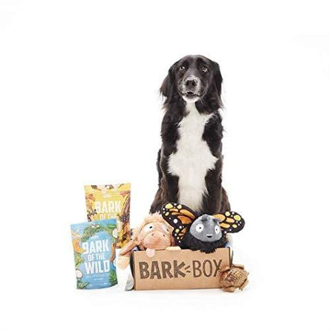 BarkBox Starter Kit Assortment Dog Plush Toys, Chew Toys, Squeak Toys, All-Natural Treats/Chews Made in The USA (2 Toys, 2 Treats & 1 Chew (USA Made), Large Dog)