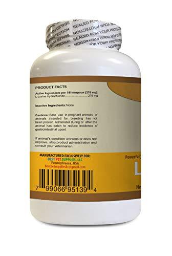 BEST PET SUPPLIES LLC Dog Amino acids - L LYSINE for Dogs Powder - Powerful Immune System Support - Mix with Food - Skin Eye and Bone Health - Oral lysine for Dogs - 1 Bottle (8 OZ)