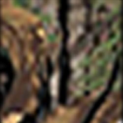 Southwest Archery Ninja Kids Youth Compound Bow Kit - Fully Adjustable 20-29" Draw 10-20LB Pull - 55% Let Off - Pre-Installed Arrow Rest - Finger Saver String - RH, Camo