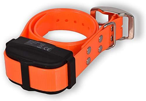 Electric Dog Fence + Remote Trainer - 2 Dog / 500' of 14 Gauge Underground Dog Fence Wire (Up to 1/3 Acre) - Dual Solution to Contain and Train Your Dog(s) with a Single Collar