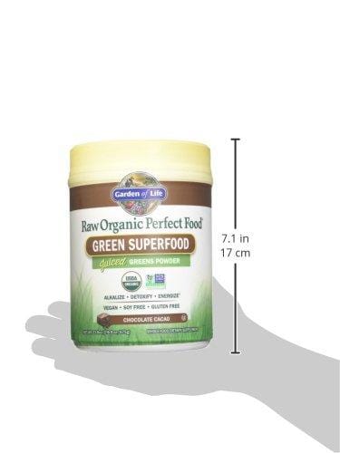 Garden of Life Raw Organic Perfect Food Green Superfood Juiced Greens Powder - Chocolate, 60 Servings - Non-GMO, Gluten Free, Vegan Whole Food Dietary Supplement, Plus Probiotics & Enzymes