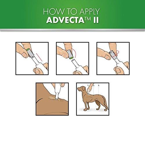 Advecta II Flea Treatment - Flea and Lice Prevention for Dogs, 4 Month Supply