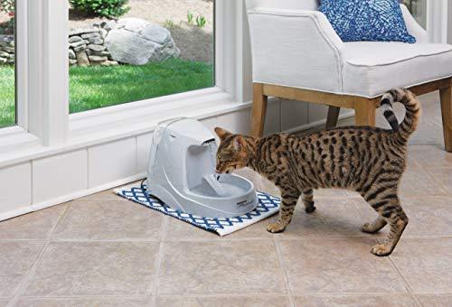 PetSafe Drinkwell Platinum Cat and Dog Water Fountain, Pet Drinking Fountain with Carbon Filter, 168 oz. Water Capacity