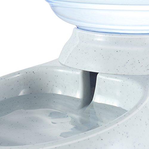 Flexzion Pet Water Dispenser Station, Self Replenish Pet Waterer Automatic Gravity Fed Drinking Fountain Stand with Antimicrobial Microban Plastic for Dog Cat Animal - (1 Gallon)