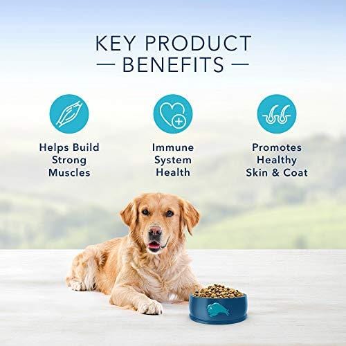 Blue Buffalo Life Protection Formula Adult Dog Food - Natural Dry Dog Food for Adult Dogs - Chicken and Brown Rice - 30 lb. Bag