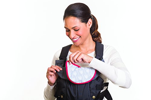 Infantino Swift Classic Carrier