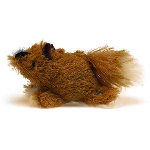 OurPets Play-N-Squeak Backyard Collection Squeaking Interactive Catnip Cat Toy