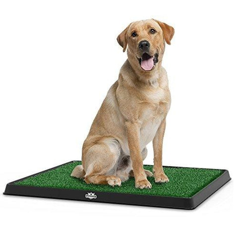 Artificial Grass Bathroom Mat for Puppies and Small Pets- Portable Potty Trainer for Indoor and Outdoor Use by PETMAKER- Puppy Essentials, 20" x 25"