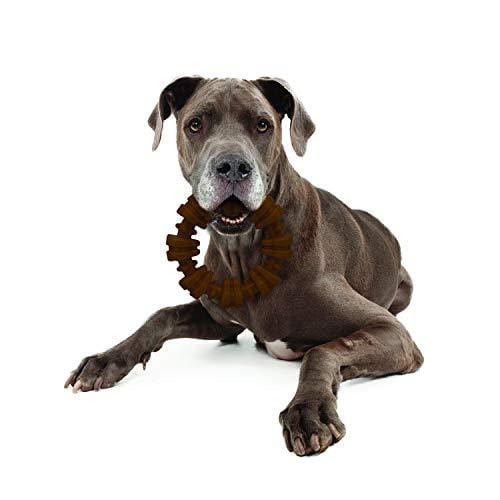 Nylabone Dura Chew Power Chew Textured Ring, Large Durable Dog Chew Toy, Great for Aggressive Chewers