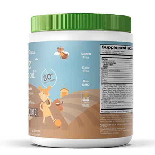 Amazing Grass, Organic Vegan Kids Superfood Powder with 30+ fruits & Super Greens, Flavor: Outrageous Chocolate, 30 Servings