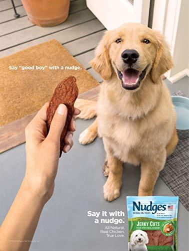 Nudges Chicken Grillers Dog Treats, 16 oz