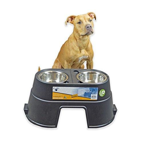 OurPets Comfort Feeder Healthy Pet Diner Raised Dog Bowls Elevated Feeder Double Stainless Steel Bowls with Stand