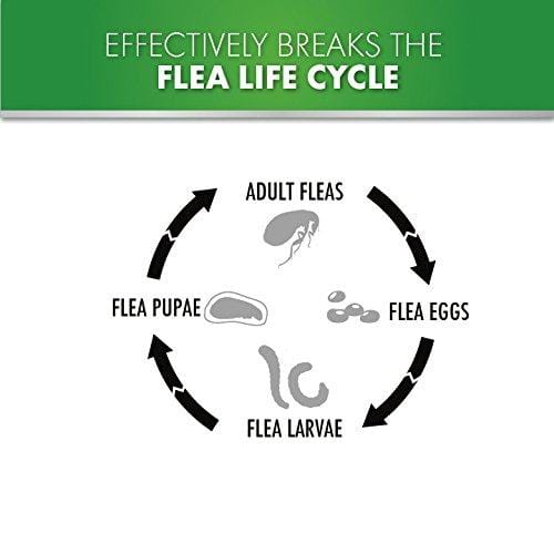 Advecta II Flea Treatment - Flea and Lice Prevention for Dogs, 4 Month Supply