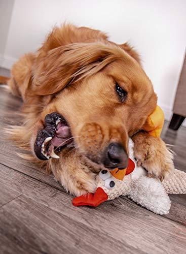 goDog Checkers Fat Rooster With Chew Guard Technology Tough Plush Dog Toy, White, Large